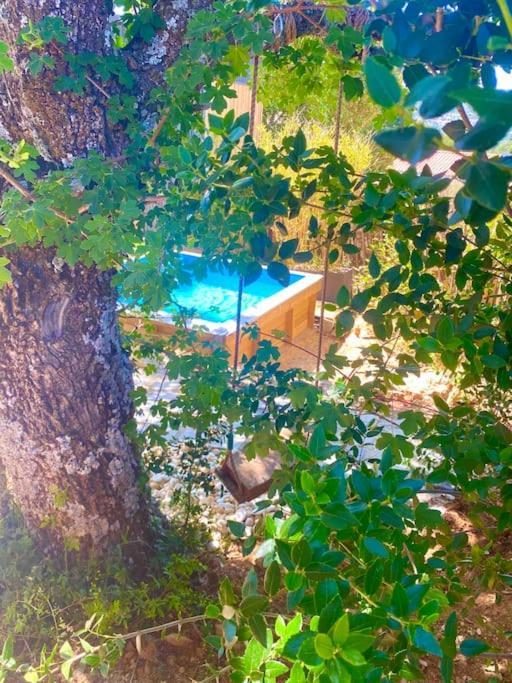 Tiny Liloumaca Coeur Ste Baume Villa Plan d'Aups Kültér fotó